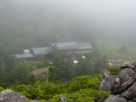 黒百合ﾋｭｯﾃが見えました