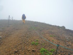 樹林帯を抜けると