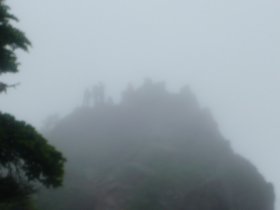 ☆ニュウ頂上は大賑わい