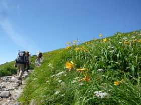花の稜線歩き