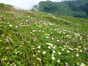 ☆季節は逆戻り
