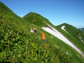 先は長すぎるぅ