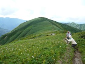 ☆あのイチゲ畑は今