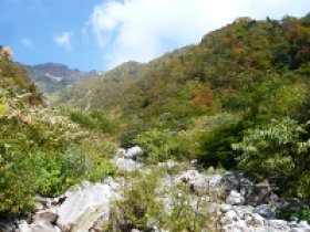 この谷じゃないよ