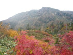 大猫平を通過中