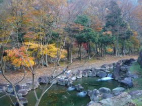 永源寺グリーンランド