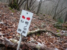 神崎川