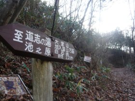 登山口