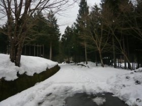 除雪はここまで