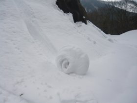 うずまきロール