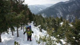 展望が開けてきました。