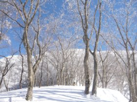 ☆そこまで迫ってきました