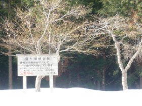 林道に降りてきました。