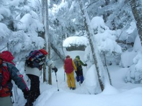 モンスターの森