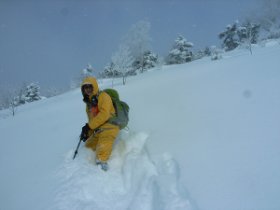 バージンスノー