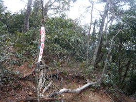 分岐に戻ってきました