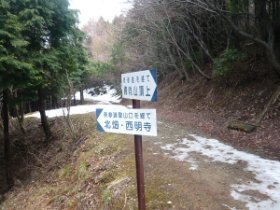 三合目・林道合流