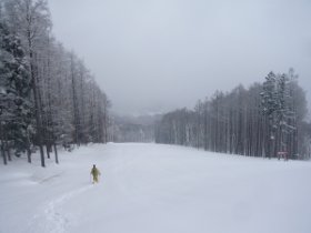 ゲレンデと分かれる