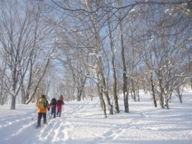 スノーシュー日和