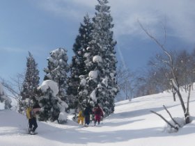 バージンスノー