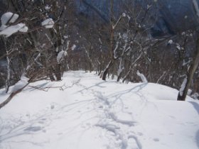 まだまだ急斜面