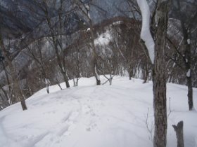 最後の急登かな