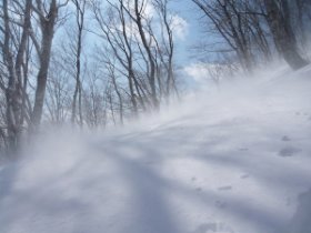 ☆地吹雪