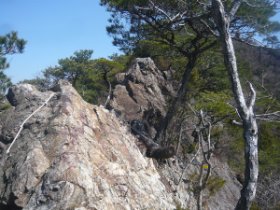 ☆岩稜帯