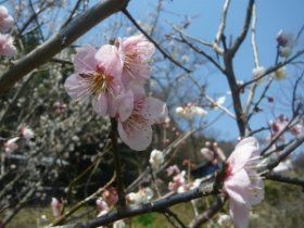 下山しました。