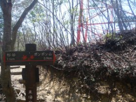 東海自然歩道と合流