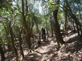 マウンテンバイク