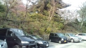 戻ってきました