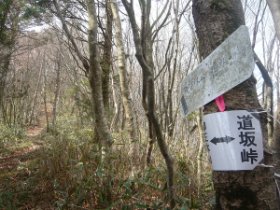 稜線に乗っかりました