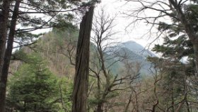 ☆山・山・山の鋸歯