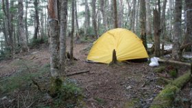 小無間のテン場に戻ってきました。