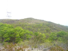 ピークが見えてきました