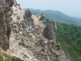 ☆ゴリラの横顔(^_^;)