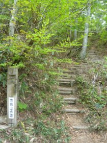 林道に降りてきました