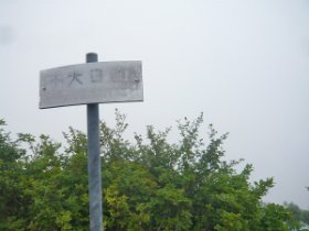 こちらが本家？