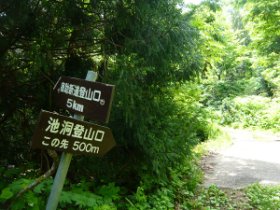 本来の徳助新道