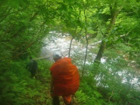 沢に降りてきました