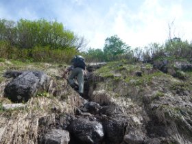 だんだん苦労し始めました