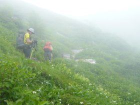 ☆幻想のお花畑