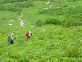 ☆擂鉢窪のお花畑