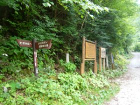 分岐に戻ってきました