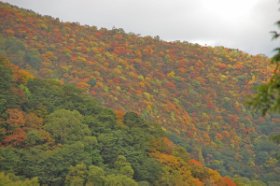 ☆あっちは凄いぞ