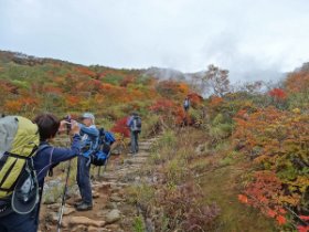 紅葉の真っただ中