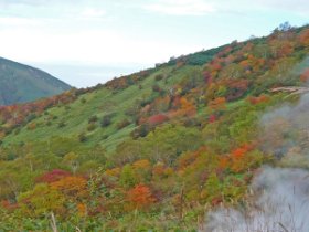 ☆紅葉のピーク