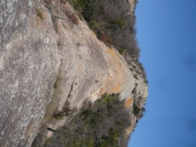 ☆やってきました