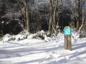 ☆大阪府最高地点